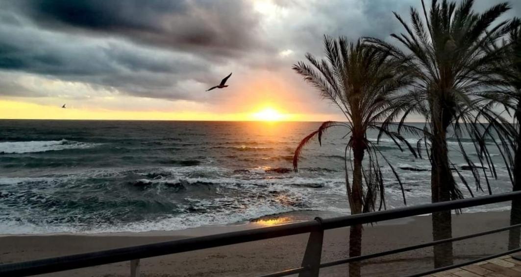 El Estudio De La Playa Benalbeach 324 Gran Terraza Vistas Al Mar ベナルマデナ エクステリア 写真